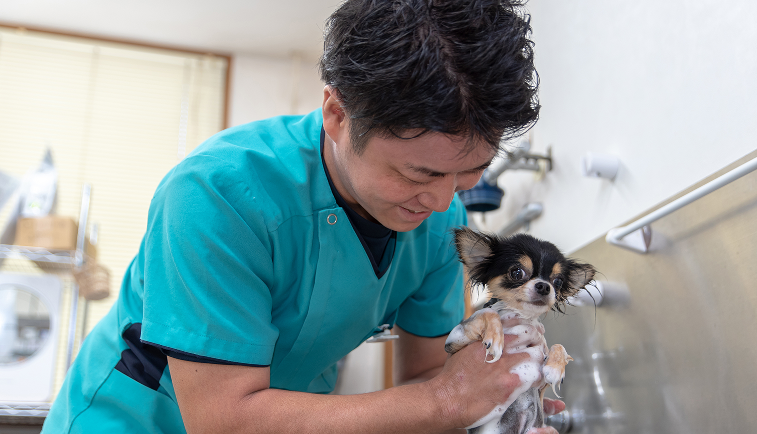 知立市や刈谷市で動物病院をお探しなら なんよう動物病院